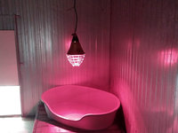 Chauffages des boxs chiens